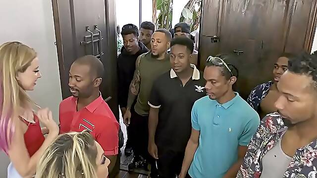 Haley Reed And Her Kiki Daire Make Cum 12 Black Men