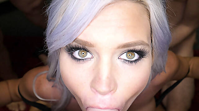 Swallow Vids