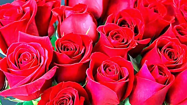 Bangla choto golpo beautiful mature saree chachi cheating hasband full story in Bangla audio choto