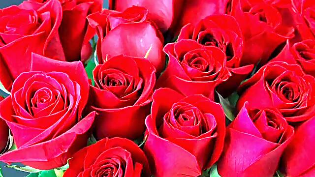 Bangla choto golpo beautiful mature saree chachi cheating hasband full story in Bangla audio choto g