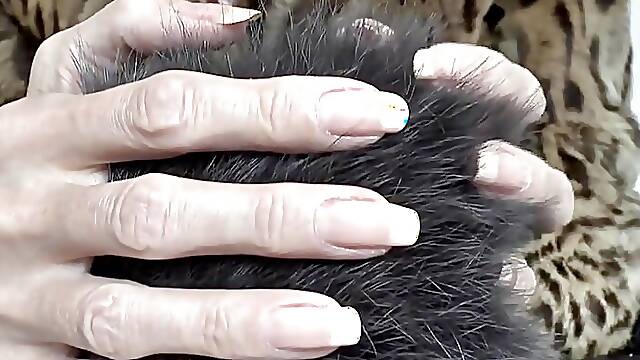 French Nails - Natural Nails