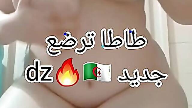 Tata Algeroys Ta3Cha9 Jabo T7OK F Dauchey Nick DJ